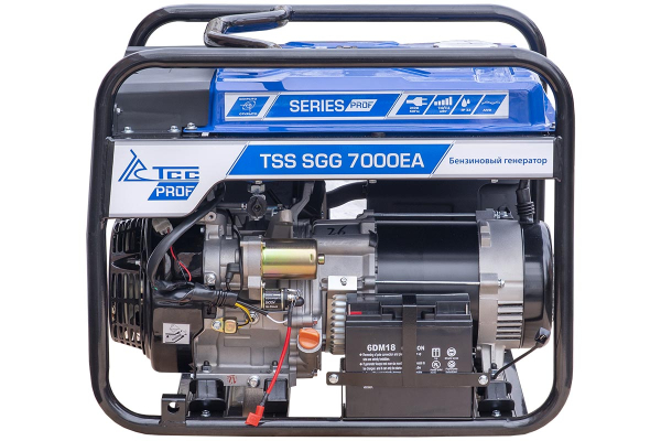 Бензиновый генератор ТСС SGG 7000EA в кожухе МК-1.1 уличный фото