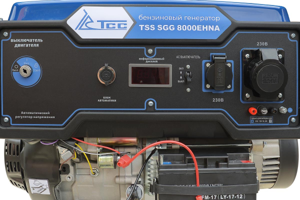 Бензиновый генератор ТСС SGG 8000EHNA в кожухе МК-1.1 уличный фото