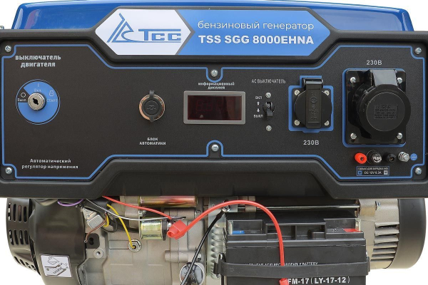 Бензиновый генератор ТСС SGG 8000EHNA в кожухе МК-1.1 уличный фото